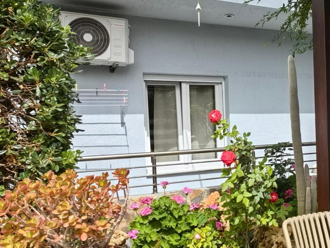 Eva Ivoni Apartments Amoudara Lasithiou Dış mekan fotoğraf