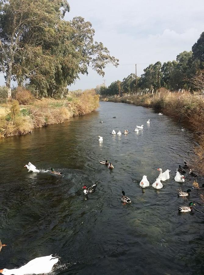 Eva Ivoni Apartments Amoudara Lasithiou Dış mekan fotoğraf